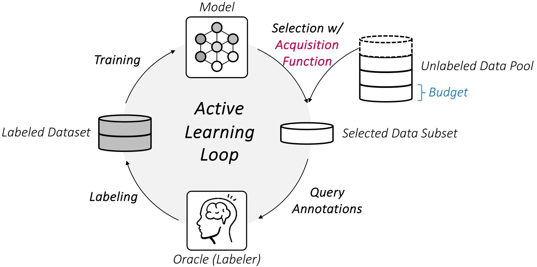 Active Learning